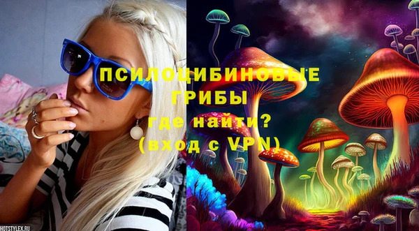 амф Остров