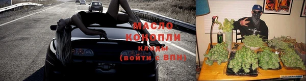 СК Дедовск