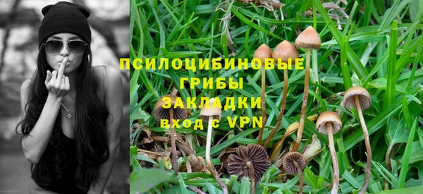 прущая мука Данков
