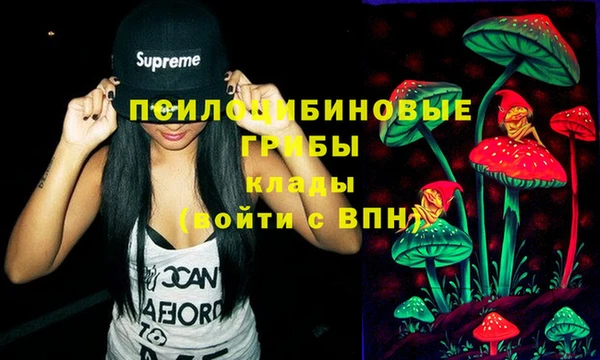 амф Остров