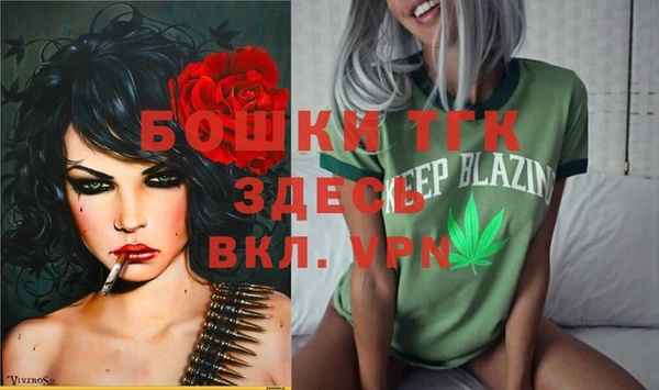 стаф Осташков